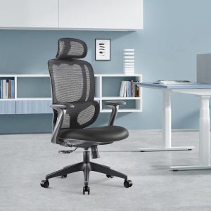 contemporary ergonomic office chair