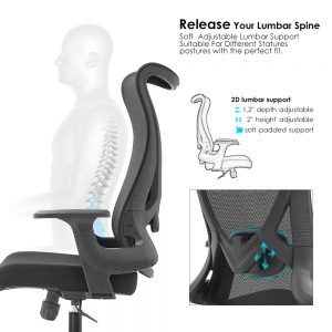 elegant office chair