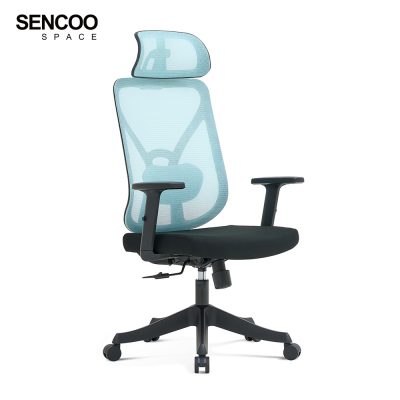 blue ergonomic office chair