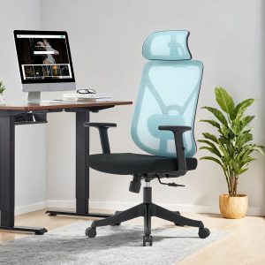 blue ergonomic office chair