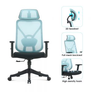 blue ergonomic office chair