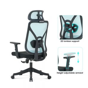 blue ergonomic office chair