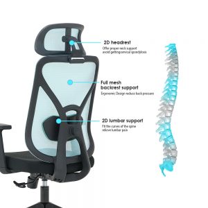 blue ergonomic office chair