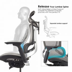 ergonomic office chair